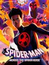 Spider-Man: Across the Spider-Verse