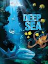 Deep Sea 3D