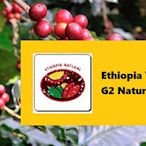 生豆✨5KG｜衣索比亞 耶加雪菲 G2 日曬｜咖啡生豆 COFFEE BEAN