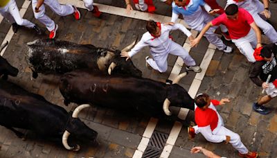 Bulls charge through Pamplona's controversial festival: See the dramatic images