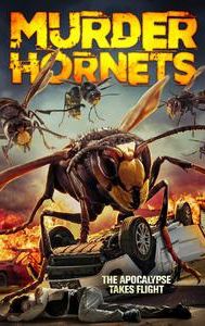 Angry Asian Murder Hornets