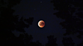What the Lunar Eclipse and Full Moon in Taurus Mean for You