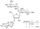 Neomycin