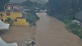 Flash floods hit Penang north-east, fell trees