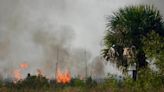 Pompano Beach fire officials respond to brush fire, discover charred body