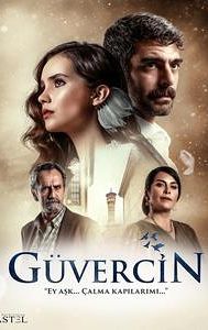 Guvercin