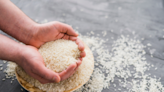 #SabuesoGourmet: Es cierto que el arroz tiene arsénico, pero en una porción mínima