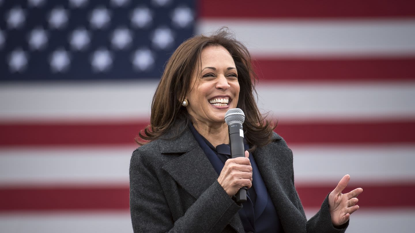 The Kamala Harris Coconut Tree Meme, Explained