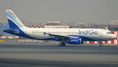 IndiGo continues to fly higher fuelled by Q1 FY25 numbers