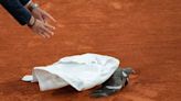 Umpire rescues pigeon during French Open match