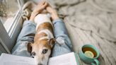 How does your pet support your mental health?