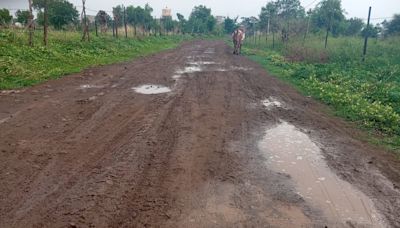 Madhya Pradesh: Less Votes Deprive Villagers Of Paved Road In Mandleshwar