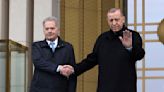 Turkey's president says he will back Finland's NATO bid