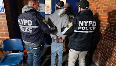 Conductor que arrolló fatalmente a anciana en Queens es capturado tras cinco años del crimen - El Diario NY
