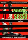 Nel labirinto del sesso (Psichidion)