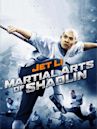 Martial Arts of Shaolin