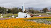 古亭河濱公園花海綻放 休閒好去處（2） (圖)