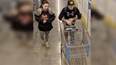 LaFayette police seeking names of suspects in shoplifting investigation