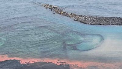 七美珊瑚產卵大爆發！粉紅派對奇景從臥龍灣延伸雙心石滬