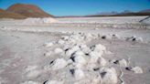 Inversión privada vital para desarrollar la industria del litio - El Diario - Bolivia