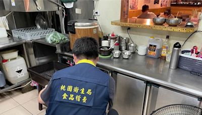 韓式料理店驚見小強菜盤上遊走 衛生局：最高罰2億