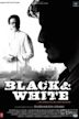 Black & White (2008 Hindi film)