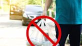 NJ's bag ban a failure, California ditching theirs