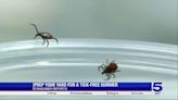 Consumer Reports: Prep your yard for a tick-free summer