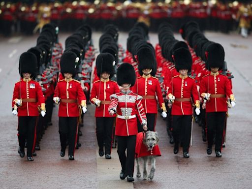 UK military urged to stop using bearskin hats on cost grounds