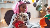 9 Ways to Throw a Scary-Good Dog Halloween Party