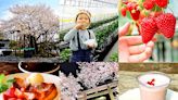 日本栃木縣日光巿春天展現粉紅浪漫 櫻花、草莓季齊登場！