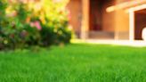 Expert shares six simple tips to keep your lawn incredibly green through summer