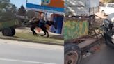 Video: un caballo desbocado tiró al carrero, huyó y chocó contra una camioneta | Por las redes