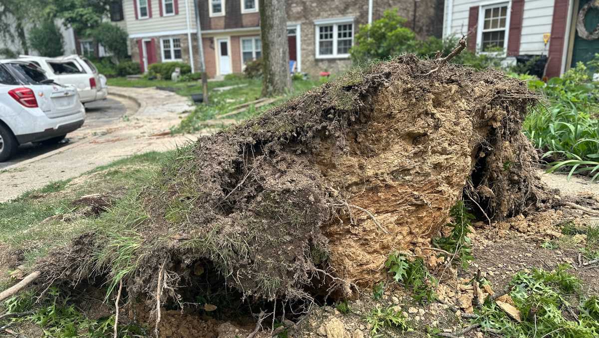 NWS confirms tornadoes in Maryland