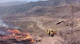 Reportan incendio forestal en zona montañosa de Veracruz