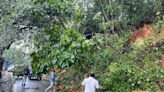 Heavy rain leads to mudslides, uprooted trees in Idukki