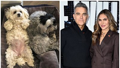 Robbie Williams and Ayda Field devastated as their two dogs die on same night