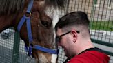 Rome hospital utilizes horses' healing power for neurological patients