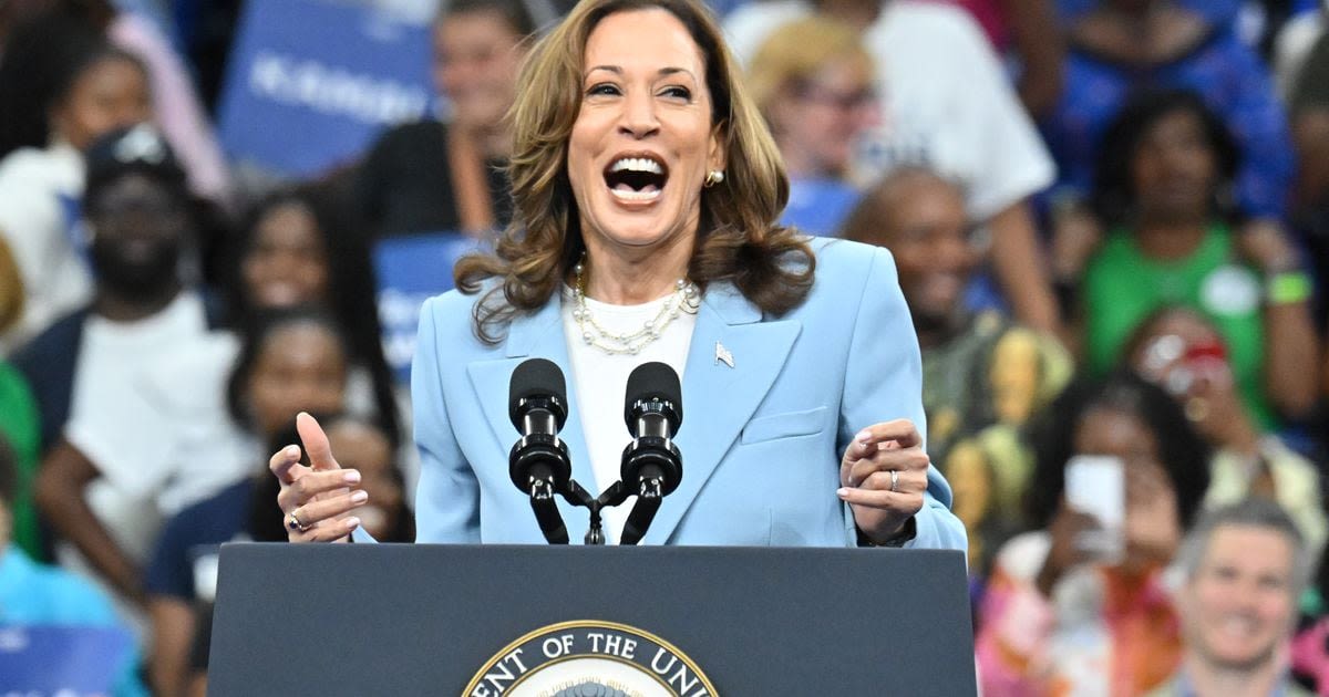 Harris puts her stamp on White House bid in Atlanta with roaring rally