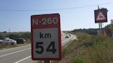 Un sistema de inteligencia artificial alerta de la presencia de animales en las carreteras para evitar accidentes