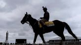 Kentucky Derby winner Mystik Dan takes on 7 other horses in the 149th Preakness