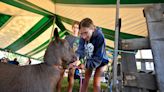 Holding true to its agricultural roots: Bolton Fair celebrates its 140th year this weekend