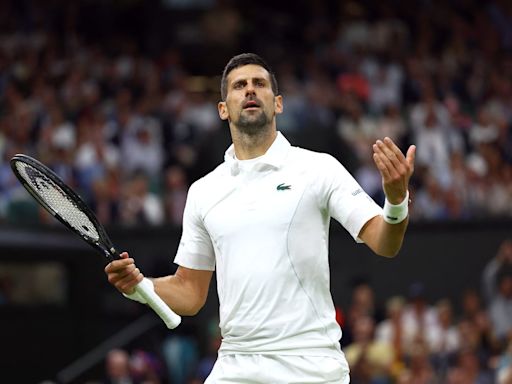 “Parece que Djokovic sea Darth Vader, no merece un trato así”