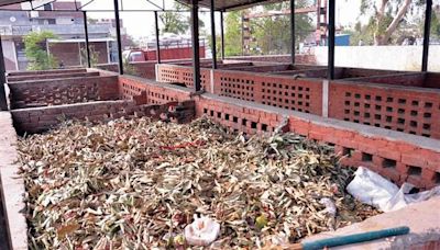 Amritsar MC’s waste mgmt plan hits roadblock as garbage collection remains inconsistent