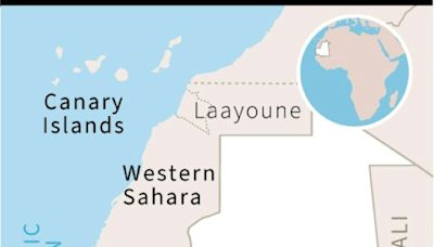 25 killed, dozens missing in migrant wreck off Mauritania: IOM