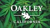 Oakley clarifies ordinances on outdoor, indoor pot grows