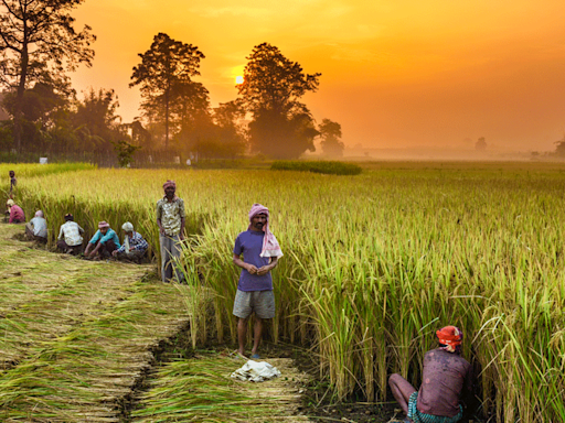 Budget 2024: Banks seek hike in interest subvention on farm loans - The Economic Times