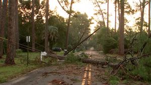 Tropical Storm Debby on path to impacts parts of Georgia damaged by Hurricane Idalia