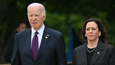 Democratic strategist alarmed as Biden, Harris 'freeze out' advisers: 'This isn't working'