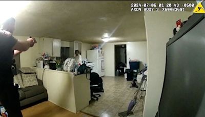 Bodycam video shows Sonya Massey's final moments before she was 'shot in head by police' in Illinois